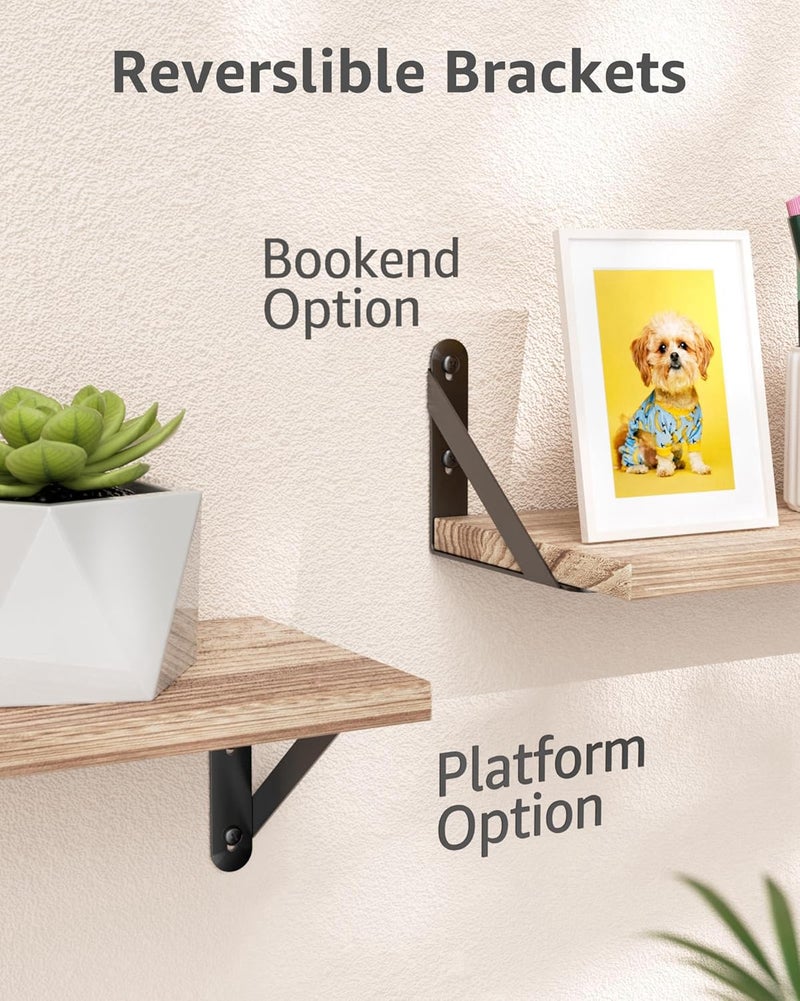 COCOYA 5x4 Shelf Brackets 6-Pack, Shelf Support Shelf Holder Steel Wall Mount Heavy Duty Small L Shape Triangle 90 Degree Metal Black with Screws Anchors Soporte de Estante - Image 3